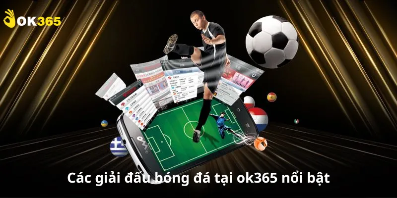 Các giải đấu bóng đá tại ok365 nổi bật
