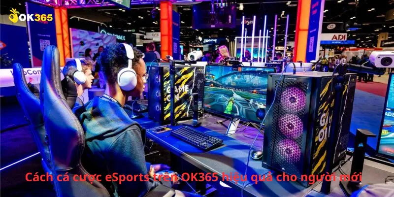 Cách cá cược eSports trên OK365 hiệu quả cho người mới