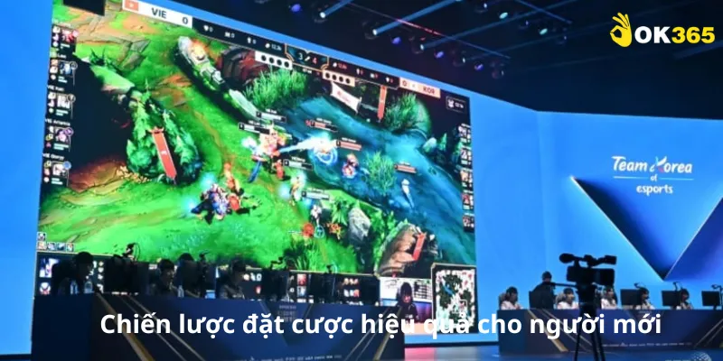 Chiến lược đặt cược hiệu quả saba thể thao cho người mới